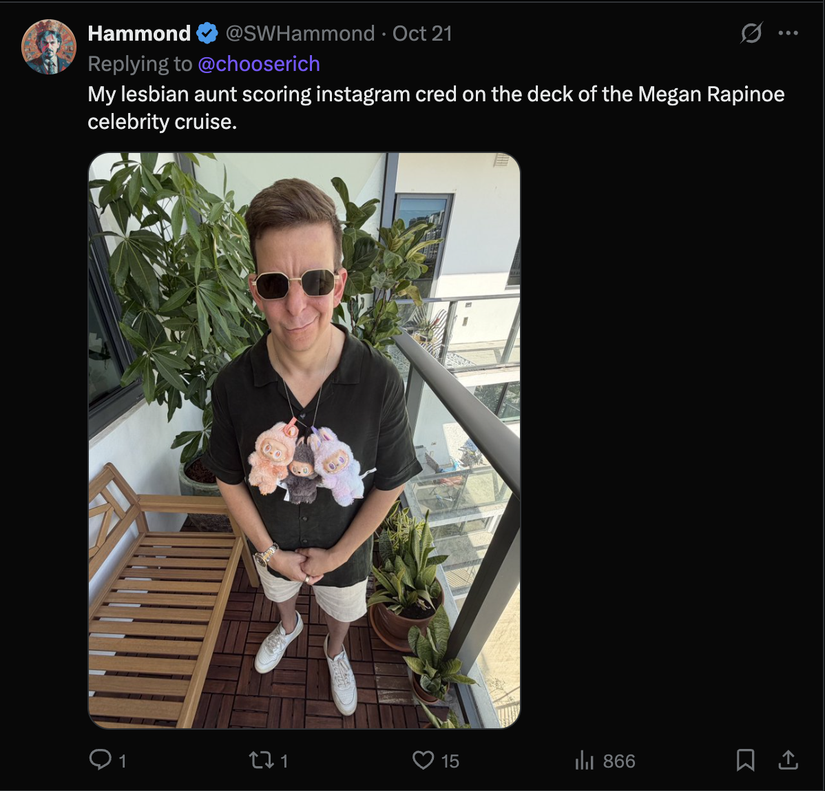 @ChooseRich on X smirking with the caption, "My lesbian aunt scoring instagram cred on the deck of the Megan Rapinoe celebrity cruise."
