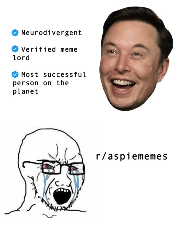Elon Musk Meme. The smiling head of Elon Musk, blue verified checkmarks acting as bullet points, the text says, "Neurodivergent. Verified Meme Lord. Most Successful Person On The Planet." The image underneath is the Crying Soyjak meme and it reads, "r/aspiememes".